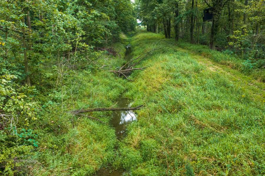 15 Reading Flowing Creek.jpg